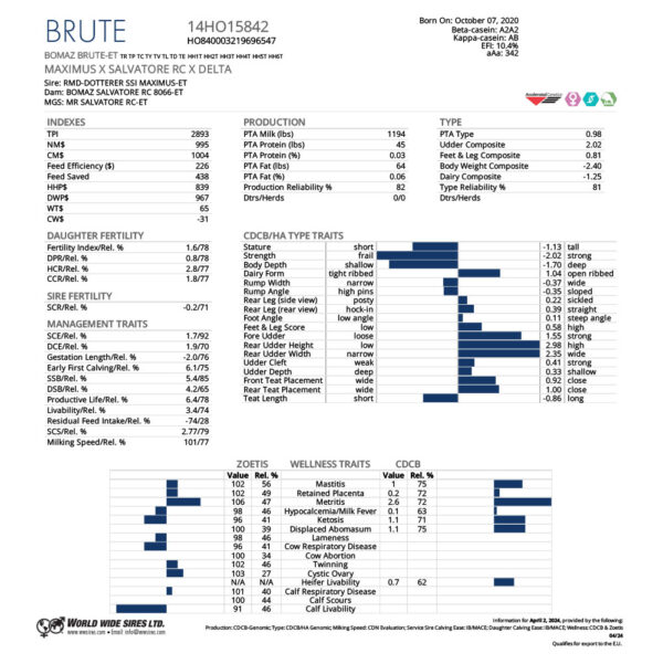 BRUTE