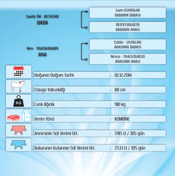 HAZAR TR420002658283 MONTOFON