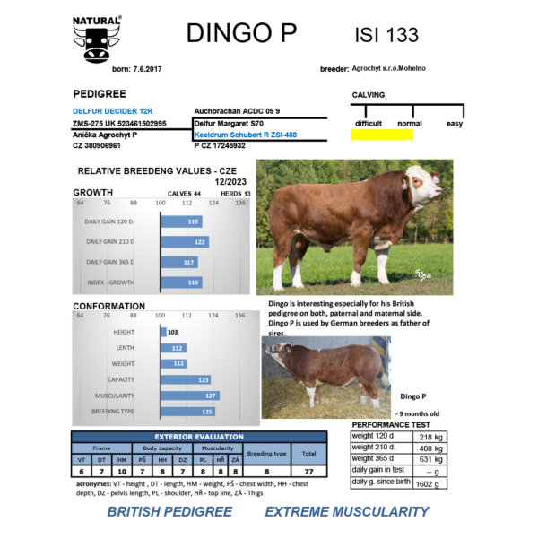 DINGO AGROCHYT P 12080064 CZ ETCI SIMENTAL VERİ