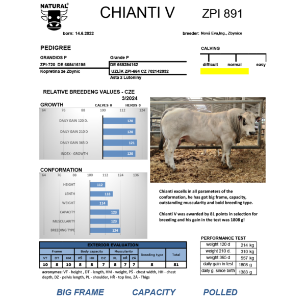 CHIANTI CZ000099651035 PIEMONTESE RESİM VERİ