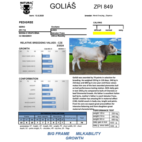 GOLIAS CZ000031044035 PIEMONTESE RESİM VERİ