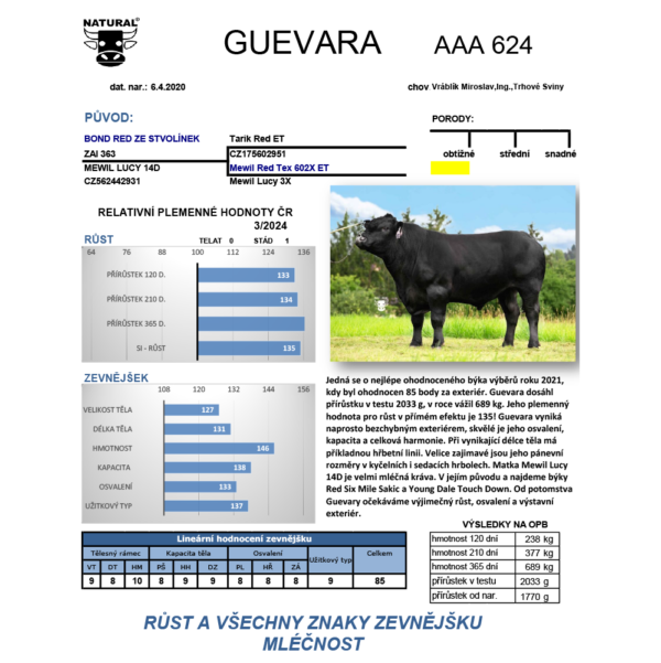 GUEVARA CZ128413034 ANGUS RESİM VERİ