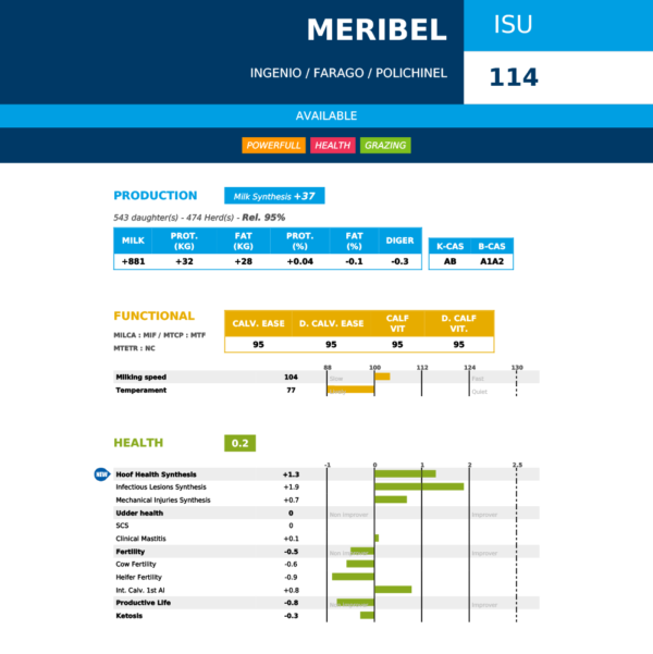 MERIBEL FR2531536794 MOUNTBELIARDE VERİ