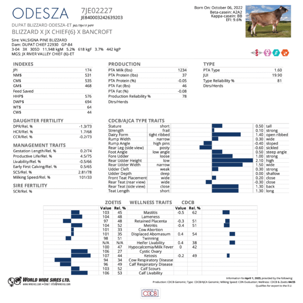 Odesza