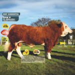 EPIK AGROCHYT P* 82721064 CZ ETCI SIMENTAL VERİ