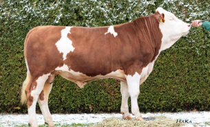 Ekran görüntüsü 2026-02-24 214620