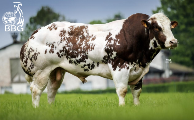 Ekran görüntüsü 2026-02-28 193027